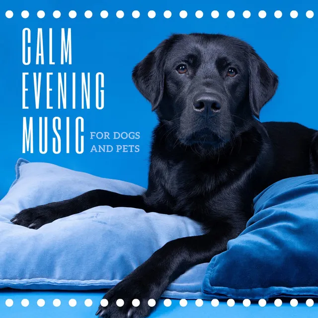 Calm Evening Music for Dogs and Pets