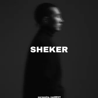 Sheker by na$WHY