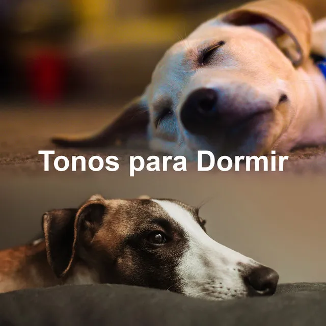 Tonos para Dormir