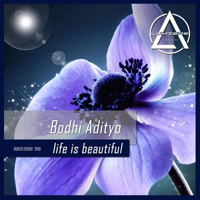 Life Is Beautiful - Original mix