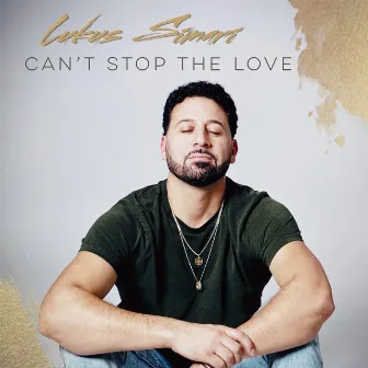 Can't Stop the Love by Lukus Simari