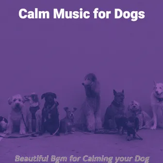 Beautiful Bgm for Calming your Dog by Unknown Artist