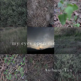 My Eyes Open Me by Anthony Tan