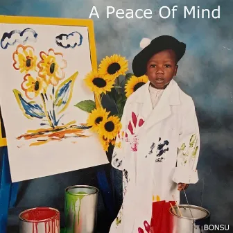 A Peace of Mind by Bonsu