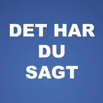 Det har du sagt by Rolf Andersen