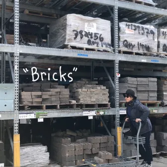 Bricks by Amy Rigby