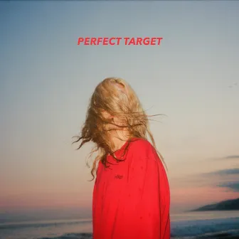 Perfect Target by Knightly