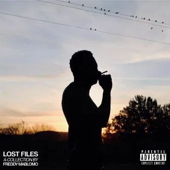 Lost Files by Freddy Mablomo