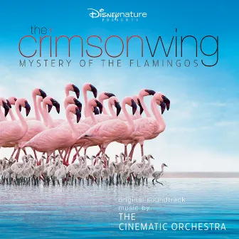 The Crimson Wing: Mystery of the Flamingos (Original Soundtrack) by London Metropolitan Orchestra