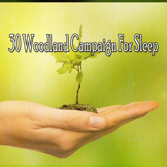 30 Woodland Campaign For Sleep