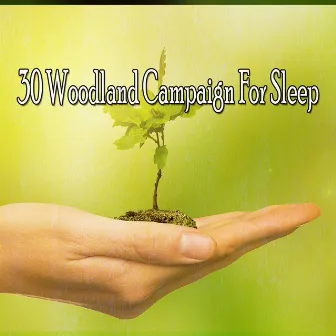 30 Woodland Campaign For Sleep by Relajación Natural Maestro