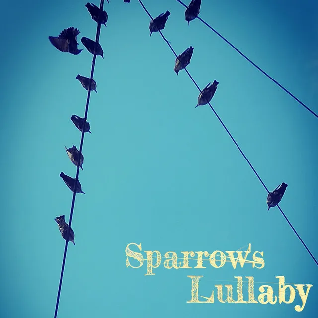 Sparrow's Lullaby