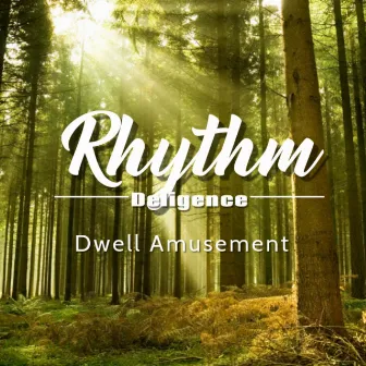 Rhythm Deligence by Dwell Amusement