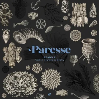 Temple (Simple Symmetry Remix) by Paresse