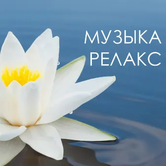 Музыка релакс - Исцеляющая музыка рeйки, музыка для массажа оздоровительный центр by Музыка Релакс Коллекция