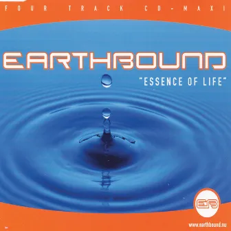 Essence Of Life by Earthbound