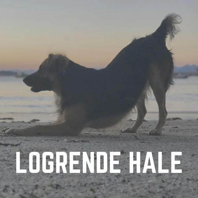 Beroligende musik til din hund, Pt. 30