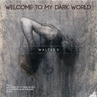 Welcome To My Dark World by Walter K