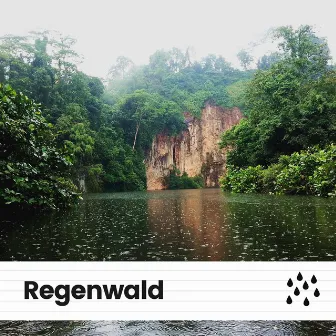 Regenwald by Schlafregengeräusche