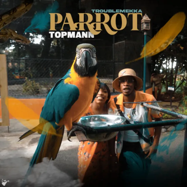 Parrot