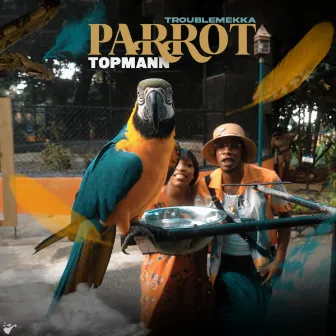 Parrot by Topmann