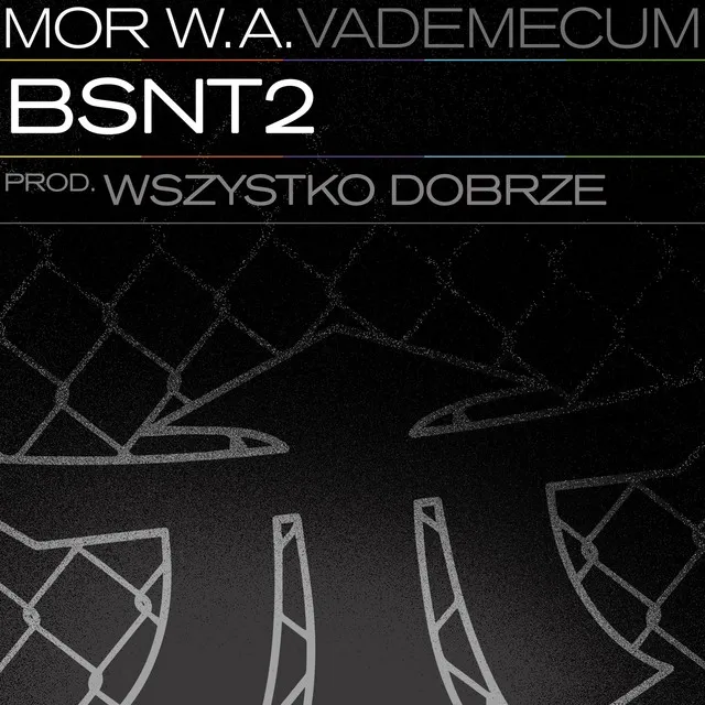 BSNT2