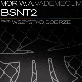 BSNT2 by Wszystko Dobrze