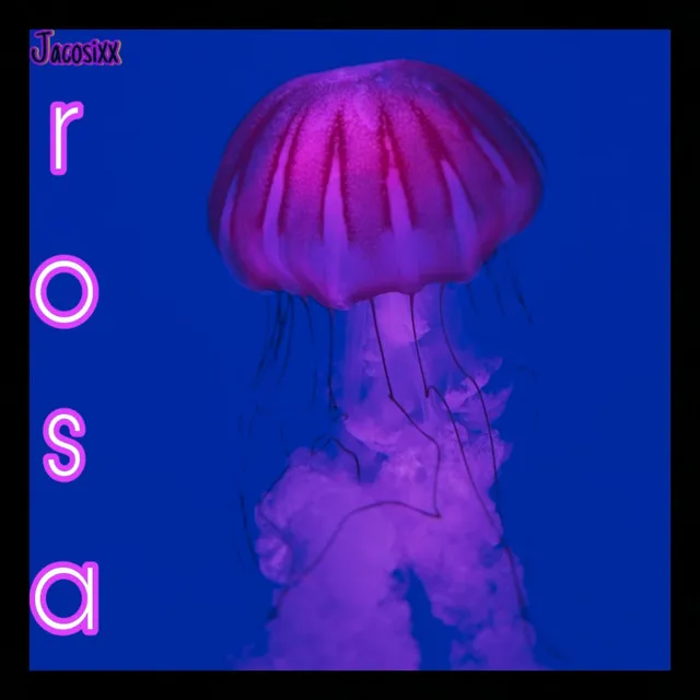 Rosa