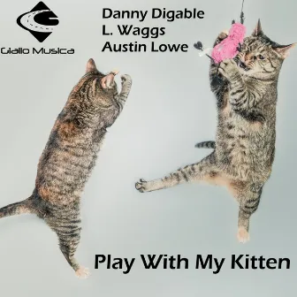 Play with my Kitten by Danny Digable