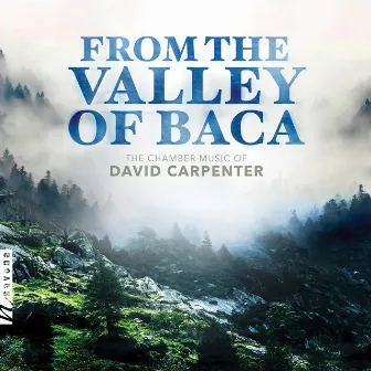 Carpenter: From the Valley Baca by Unknown Artist