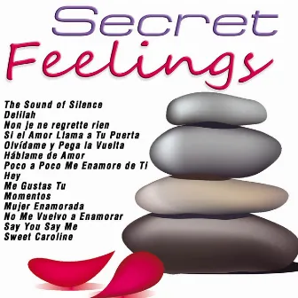 Secret Feelings by The Love Band