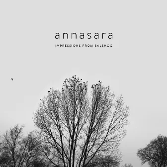 Impressions from Sälshög (instrumental) by Annasara Lundgren