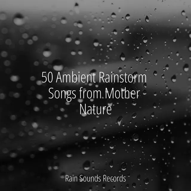 50 Ambient Rainstorm Songs from Mother Nature