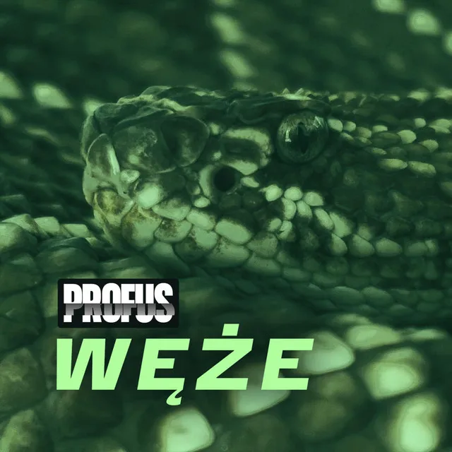 Węże