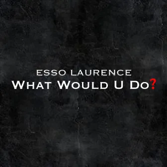 What Would U Do by Esso Laurence