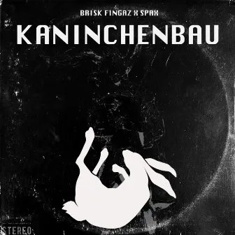 Kaninchenbau by Brisk Fingaz