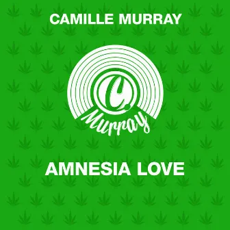 Amnesia Love by Camille Murray