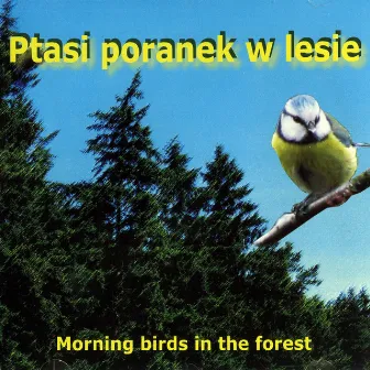 Ptasi poranek w lesie by Odgłosy Natury