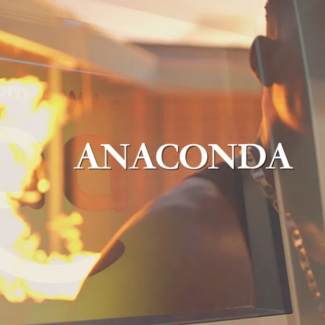 Anaconda