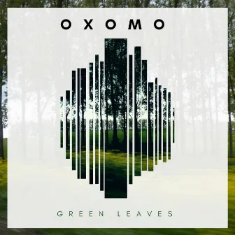 Green Leaves by Oxomo