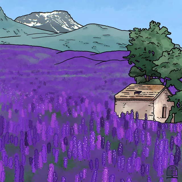 Lavender