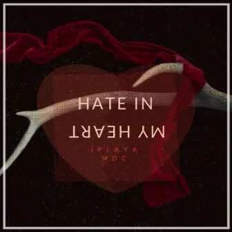 Hate In My Heart by MDC