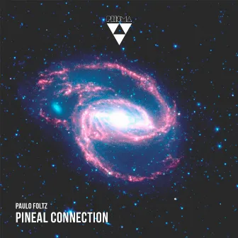 Pineal Connection by Paulo Foltz