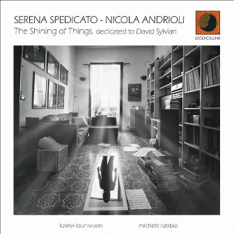 The Shining of Things (Dedicated to David Sylvian) by Serena Spedicato