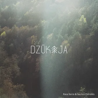 Dzūkija by Saulius Petreikis