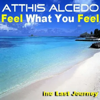 Feel What You Feel by Atthis Alcedo