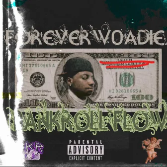 Bankroll Flow by FOREVER WOADIE