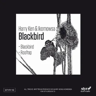 Blackbird by Iko Mowsa