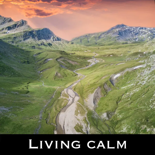 Living Calm