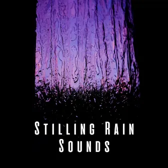 Stilling Rain Sounds by Raining Relaxing